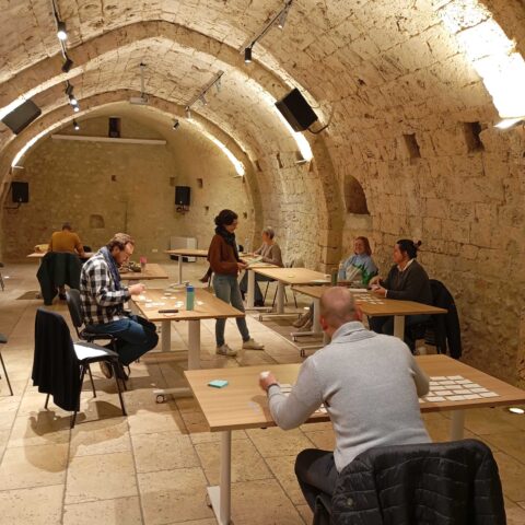 Les utilisateurs sont dans une pièce voutée et ils s'apprêtent à trier les cartes